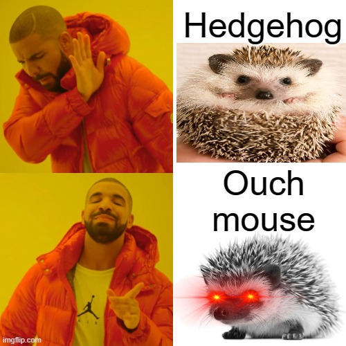 Why don't we call them this? | Hedgehog; Ouch mouse | image tagged in memes,drake hotline bling | made w/ Imgflip meme maker