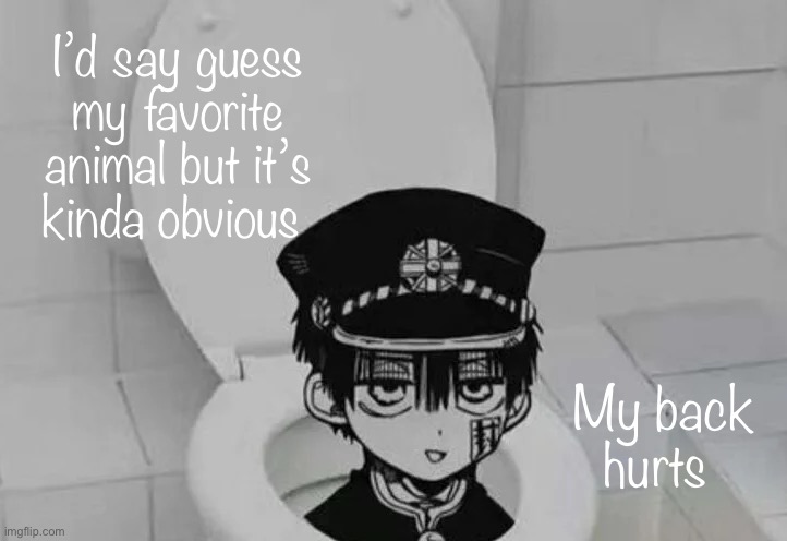 Hanako kun in Toilet | I’d say guess my favorite animal but it’s kinda obvious; My back hurts | image tagged in hanako kun in toilet | made w/ Imgflip meme maker