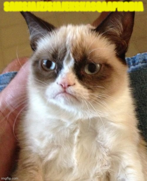 Grumpy Cat Meme | SAMSJAJZJSJAJEKSKASQAAPHOBIA | image tagged in memes,grumpy cat | made w/ Imgflip meme maker