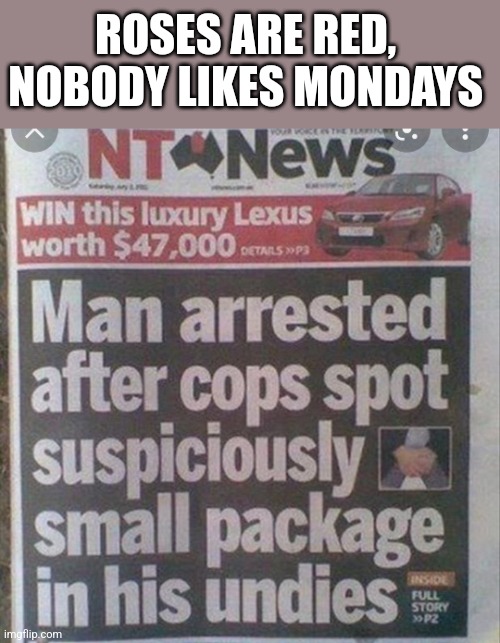ROSES ARE RED,  NOBODY LIKES MONDAYS | image tagged in funny memes | made w/ Imgflip meme maker