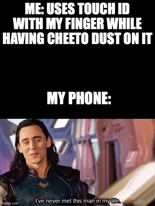 but mr phone, its me! :( |  ME: USES TOUCH ID WITH MY FINGER WHILE HAVING CHEETO DUST ON IT; MY PHONE: | image tagged in double long black template | made w/ Imgflip meme maker
