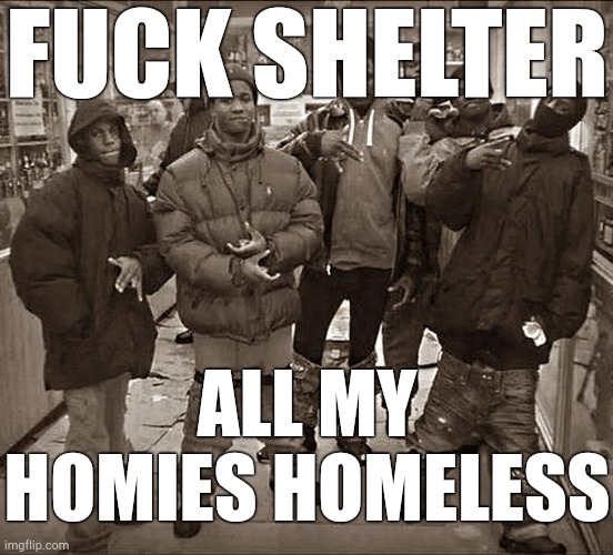 All My Homies Hate | FUCK SHELTER ALL MY HOMIES HOMELESS | image tagged in all my homies hate | made w/ Imgflip meme maker