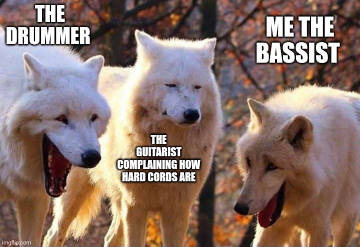 Noobs | THE DRUMMER; ME THE BASSIST; THE GUITARIST COMPLAINING HOW HARD CORDS ARE | image tagged in laughing wolf,bass,guitar,drums | made w/ Imgflip meme maker