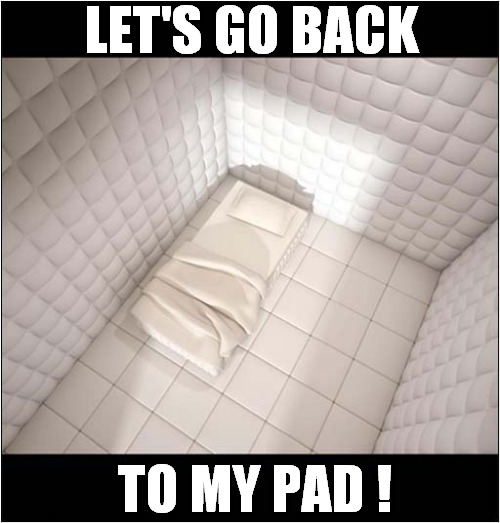 Fancy A Fun Evening ? | LET'S GO BACK; TO MY PAD ! | image tagged in worry,padded call,panic | made w/ Imgflip meme maker