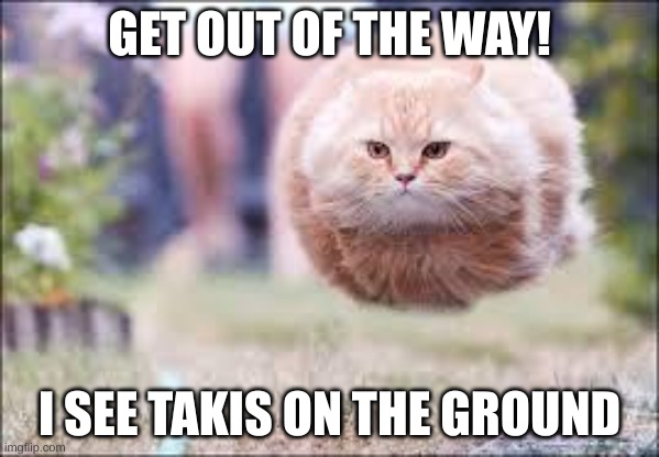 flying cat ball |  GET OUT OF THE WAY! I SEE TAKIS ON THE GROUND | image tagged in flying cat ball | made w/ Imgflip meme maker
