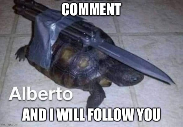 Alberto | COMMENT; AND I WILL FOLLOW YOU | image tagged in alberto | made w/ Imgflip meme maker
