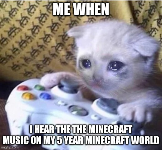 SOOO TRUE :( | ME WHEN; I HEAR THE THE MINECRAFT MUSIC ON MY 5 YEAR MINECRAFT WORLD | image tagged in sad gaming cat | made w/ Imgflip meme maker