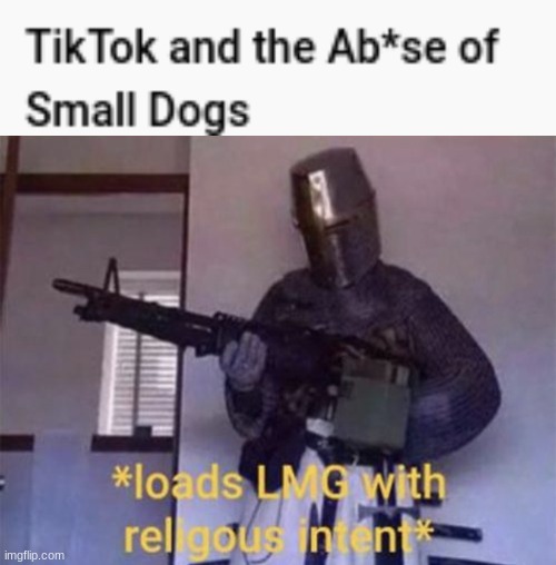 TikTok f**king stinks, just get rid of it | image tagged in loads lmg with religious intent,tiktok sucks | made w/ Imgflip meme maker