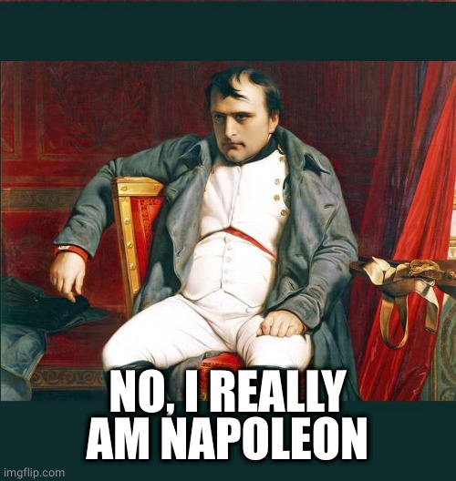 napoleon | NO, I REALLY AM NAPOLEON | image tagged in napoleon | made w/ Imgflip meme maker