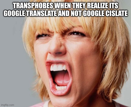 super angry karen | TRANSPHOBES WHEN THEY REALIZE ITS GOOGLE TRANSLATE AND NOT GOOGLE CISLATE | image tagged in super angry karen,memes,funny,transphobic | made w/ Imgflip meme maker