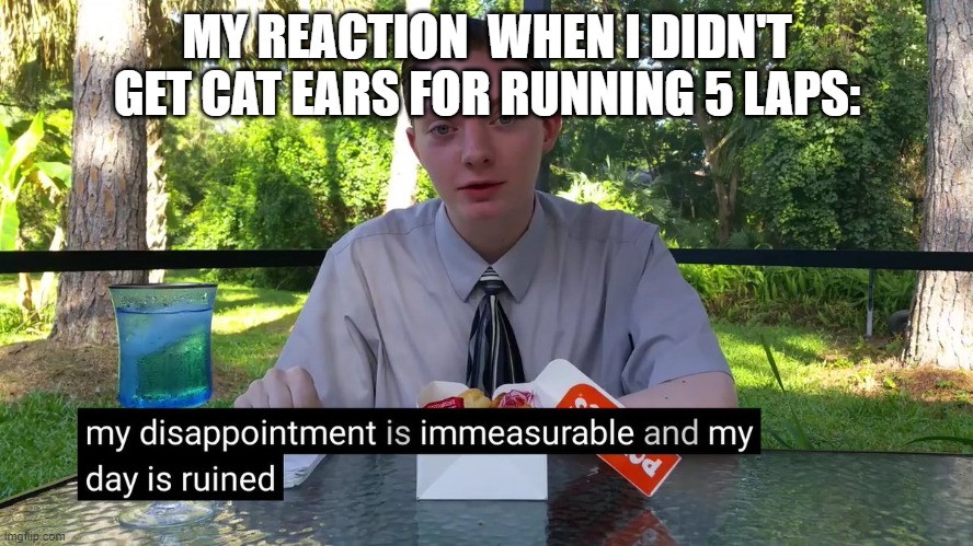 whyyyyyyyy | MY REACTION  WHEN I DIDN'T GET CAT EARS FOR RUNNING 5 LAPS: | image tagged in my disappointment is immeasurable,cat ears | made w/ Imgflip meme maker