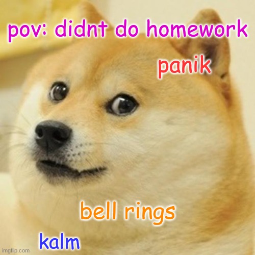 Doge Meme | pov: didnt do homework; panik; bell rings; kalm | image tagged in memes,doge | made w/ Imgflip meme maker