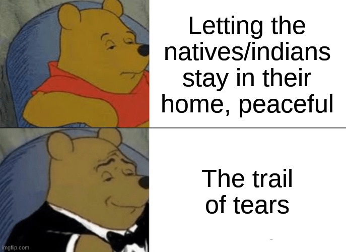 Tuxedo Winnie The Pooh Meme | Letting the natives/indians stay in their home, peaceful; The trail of tears | image tagged in memes,tuxedo winnie the pooh | made w/ Imgflip meme maker
