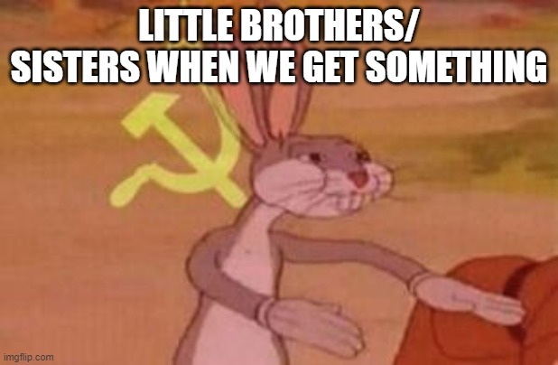 our | LITTLE BROTHERS/ SISTERS WHEN WE GET SOMETHING | image tagged in our | made w/ Imgflip meme maker