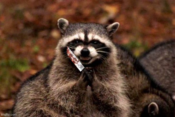 Evil Plotting Raccoon Meme | image tagged in memes,evil plotting raccoon | made w/ Imgflip meme maker