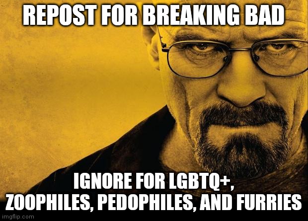 fixed a minor spelling mistake | REPOST FOR BREAKING BAD; IGNORE FOR LGBTQ+, ZOOPHILES, PEDOPHILES, AND FURRIES | image tagged in breaking bad | made w/ Imgflip meme maker