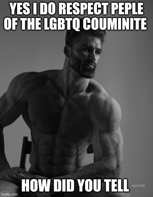 meme8 | YES I DO RESPECT PEPLE OF THE LGBTQ COUMINITE; HOW DID YOU TELL | image tagged in giga chad,lgbtq | made w/ Imgflip meme maker