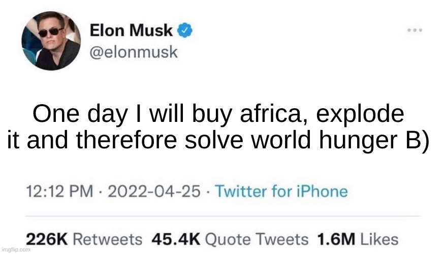 Elon Musk Buying Twitter | One day I will buy africa, explode it and therefore solve world hunger B) | image tagged in elon musk buying twitter | made w/ Imgflip meme maker