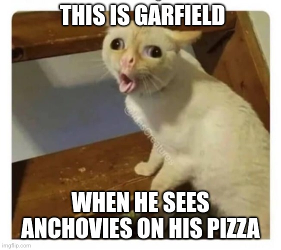 So true xD | THIS IS GARFIELD; WHEN HE SEES ANCHOVIES ON HIS PIZZA | image tagged in coughing cat,garfield,anchovies,pizza | made w/ Imgflip meme maker