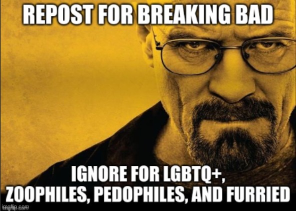 repost for bb and ignoe for 75 genders | image tagged in repost,repost for breaking bad | made w/ Imgflip meme maker