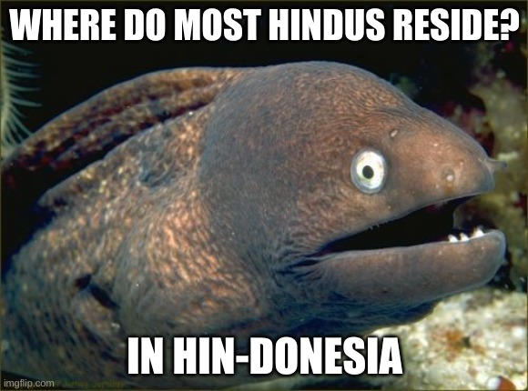 wtf is wrong with me | WHERE DO MOST HINDUS RESIDE? IN HIN-DONESIA | image tagged in memes,bad joke eel | made w/ Imgflip meme maker