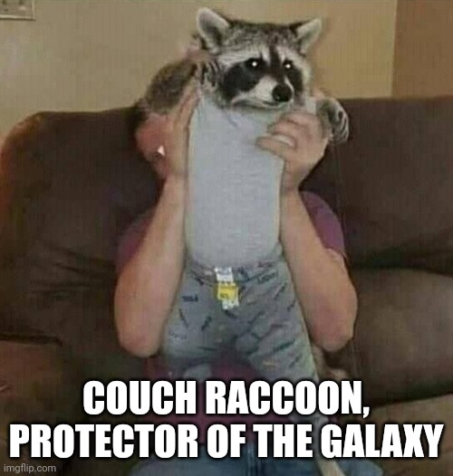 It's rocket raccoon with RTX on | COUCH RACCOON, PROTECTOR OF THE GALAXY | image tagged in rtx on and off | made w/ Imgflip meme maker