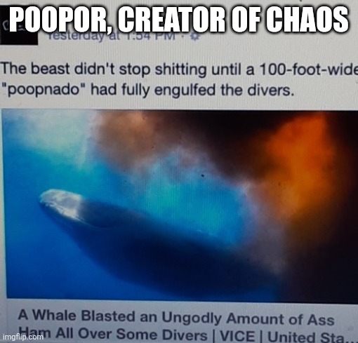 Why. Just why. | POOPOR, CREATOR OF CHAOS | image tagged in chaos | made w/ Imgflip meme maker