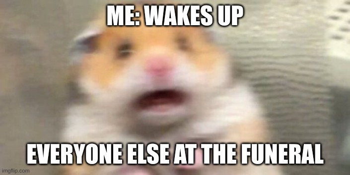 R U N |  ME: WAKES UP; EVERYONE ELSE AT THE FUNERAL | image tagged in screaming hampster | made w/ Imgflip meme maker