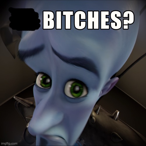 Megamind no bitches | image tagged in megamind no bitches | made w/ Imgflip meme maker