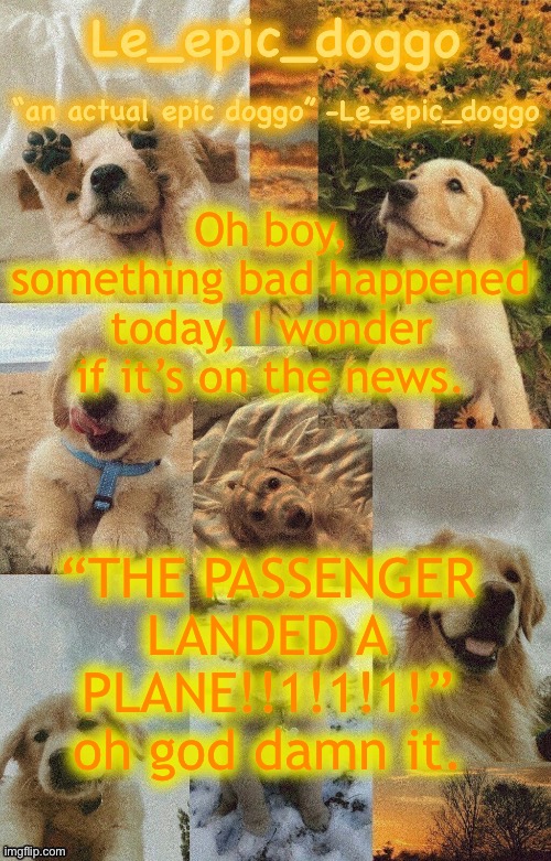 Doggo temp by doggo. Wait what that’s confusing | Oh boy, something bad happened today, I wonder if it’s on the news. “THE PASSENGER LANDED A PLANE!!1!1!1!” oh god damn it. | image tagged in doggo temp by doggo wait what that s confusing | made w/ Imgflip meme maker