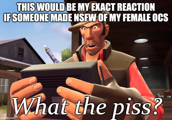 What the piss? | THIS WOULD BE MY EXACT REACTION IF SOMEONE MADE NSFW OF MY FEMALE OCS | image tagged in what the piss | made w/ Imgflip meme maker