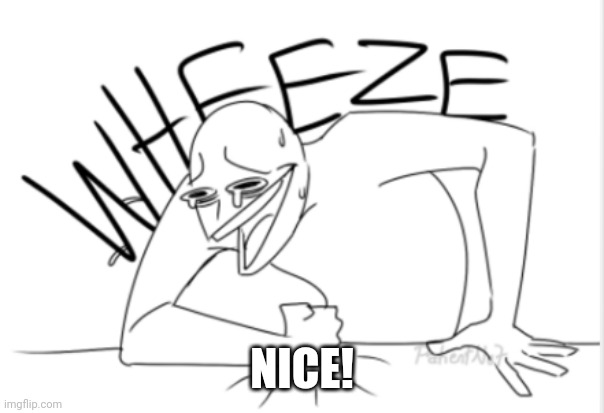 wheeze | NICE! | image tagged in wheeze | made w/ Imgflip meme maker