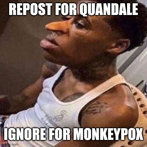 quandale dingle | REPOST FOR QUANDALE; IGNORE FOR MONKEYPOX | image tagged in quandale dingle,monkeypox | made w/ Imgflip meme maker