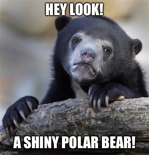 Confession Bear |  HEY LOOK! A SHINY POLAR BEAR! | image tagged in memes,confession bear | made w/ Imgflip meme maker