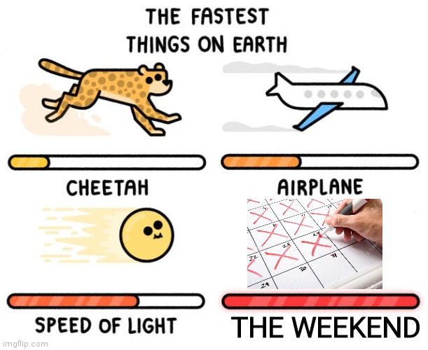 The weekend goes by too fast :( | THE WEEKEND | image tagged in fastest thing possible,fastest thing on earth,weekend | made w/ Imgflip meme maker