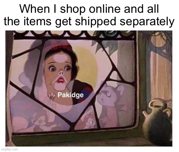 When I shop online and all the items get shipped separately | image tagged in funny memes,shopping | made w/ Imgflip meme maker