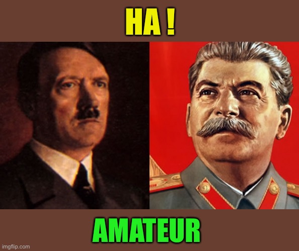 Hitler/Stalin | HA ! AMATEUR | image tagged in hitler/stalin | made w/ Imgflip meme maker