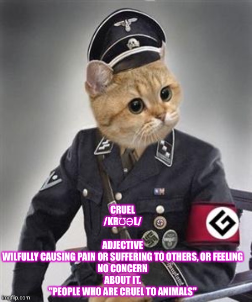 Grammar Nazi Cat | CRUEL
/KRƱƏL/
 
ADJECTIVE
WILFULLY CAUSING PAIN OR SUFFERING TO OTHERS, OR FEELING NO CONCERN ABOUT IT.
"PEOPLE WHO ARE CRUEL TO ANIMALS" | image tagged in grammar nazi cat | made w/ Imgflip meme maker