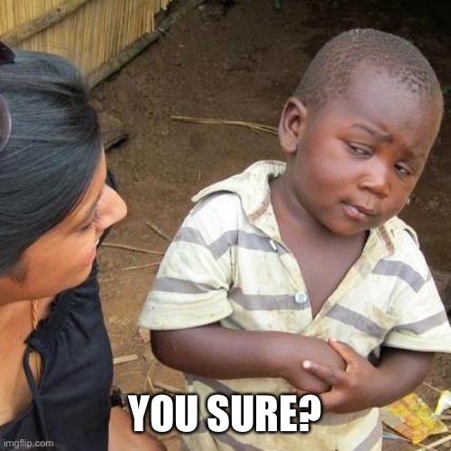 Third World Skeptical Kid Meme | YOU SURE? | image tagged in memes,third world skeptical kid | made w/ Imgflip meme maker