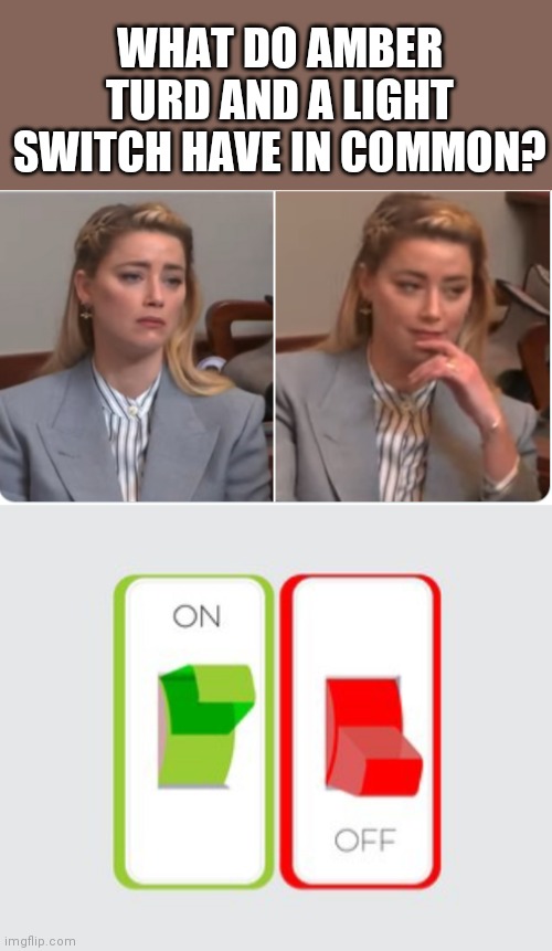 Can you spot the similarities? | WHAT DO AMBER TURD AND A LIGHT SWITCH HAVE IN COMMON? | image tagged in amber heard,switch,malignant narcissism,fakery | made w/ Imgflip meme maker