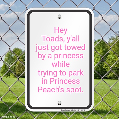 Hey Toads, y'all just got towed by a princess while trying to park in Princess Peach's spot. | made w/ Imgflip meme maker