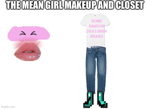 Blank White Template | THE MEAN GIRL MAKEUP AND CLOSET; SOME RANDOM DESIGNER BRAND | image tagged in blank white template | made w/ Imgflip meme maker