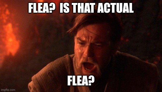 You Were The Chosen One (Star Wars) | FLEA?  IS THAT ACTUAL; FLEA? | image tagged in memes,you were the chosen one star wars | made w/ Imgflip meme maker