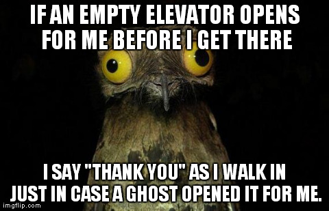 Weird Stuff I Do Potoo Meme | IF AN EMPTY ELEVATOR OPENS FOR ME BEFORE I GET THERE I SAY "THANK YOU" AS I WALK IN JUST IN CASE A GHOST OPENED IT FOR ME. | image tagged in memes,weird stuff i do potoo | made w/ Imgflip meme maker