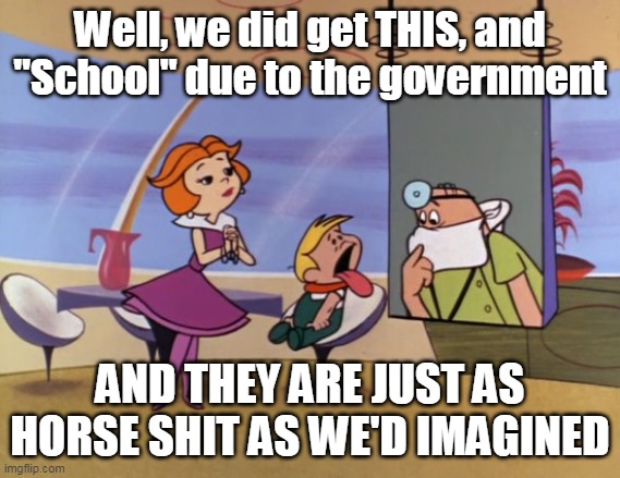 Well, we did get THIS, and "School" due to the government AND THEY ARE JUST AS HORSE SHIT AS WE'D IMAGINED | made w/ Imgflip meme maker