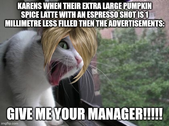 Screaming Cat | KARENS WHEN THEIR EXTRA LARGE PUMPKIN SPICE LATTE WITH AN ESPRESSO SHOT IS 1 MILLIMETRE LESS FILLED THEN THE ADVERTISEMENTS:; GIVE ME YOUR MANAGER!!!!! | image tagged in screaming cat | made w/ Imgflip meme maker