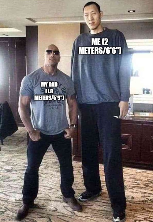 height.jpeg | ME (2 METERS/6'6''); MY DAD (1.8 METERS/5'9'') | image tagged in the rock height | made w/ Imgflip meme maker