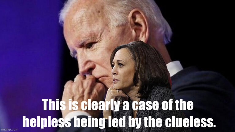 Biden and Harris | image tagged in clueless,helpless,leading,political negligence,hopeless state | made w/ Imgflip meme maker