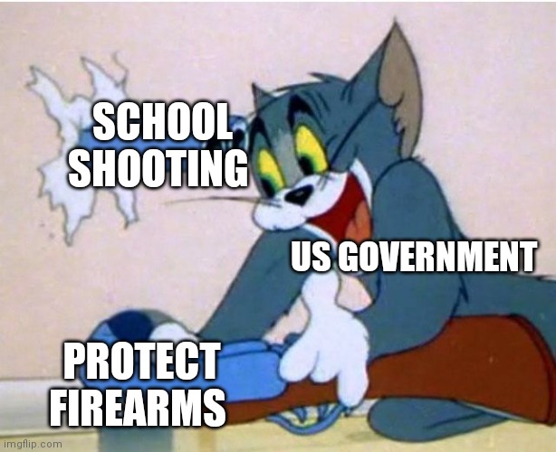 Tom and Jerry | SCHOOL SHOOTING; US GOVERNMENT; PROTECT FIREARMS | image tagged in tom and jerry | made w/ Imgflip meme maker