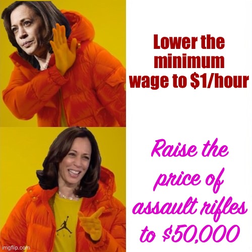 The Constitution guarantees a right to bear arms. It doesn’t bestow the right to purchase affordable arms! | Lower the minimum wage to $1/hour; Raise the price of assault rifles to $50,000 | image tagged in kamala harris hotline bling,guns,rifles,assault weapons,gun control,gun laws | made w/ Imgflip meme maker